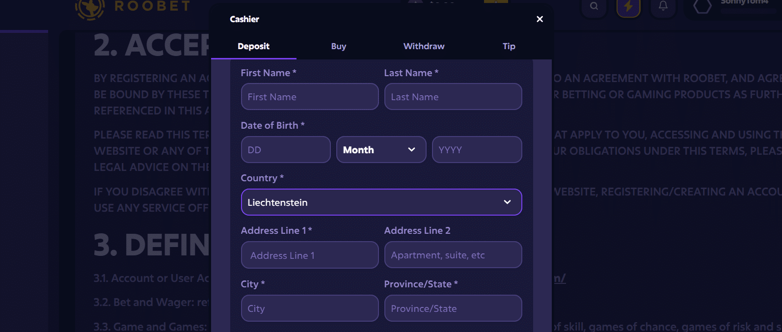 The Roobet KYC deposit tab in its payment window