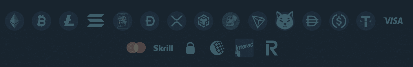 The payment methods available at Duelbits casino