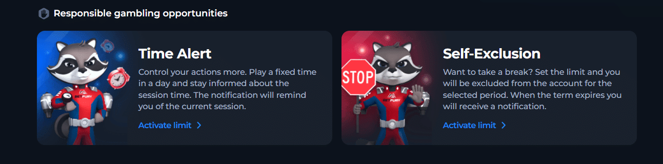 BetFury's profile responsible gambling tools