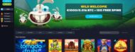 WildTornado Casino Review