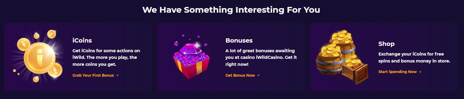 iWild Casino