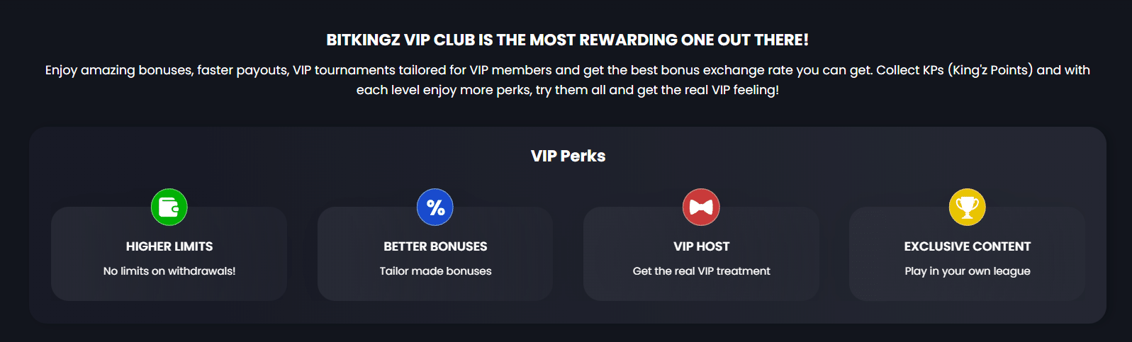 Bitkingz VIP Program