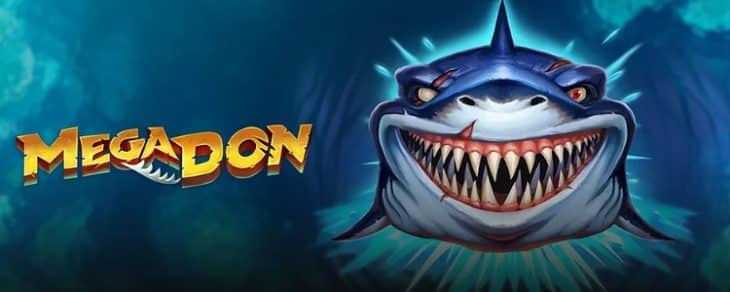 Mega Don Slot