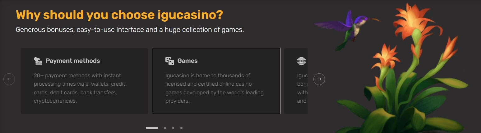 Igu Casino Review