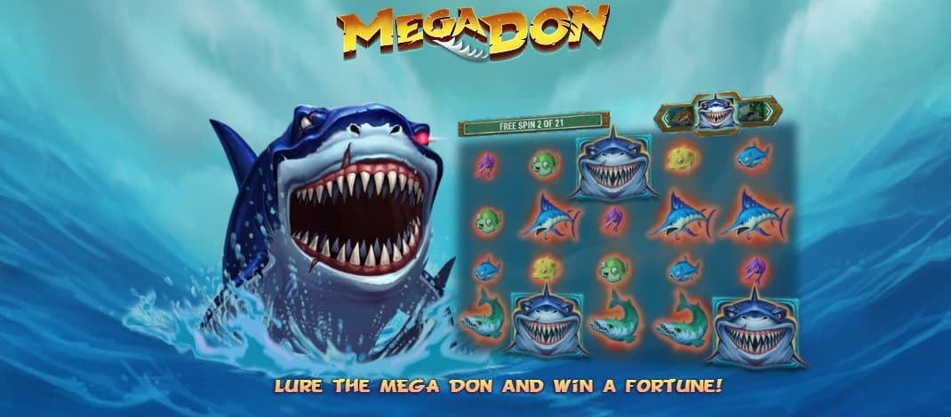 Mega Don Slot Features