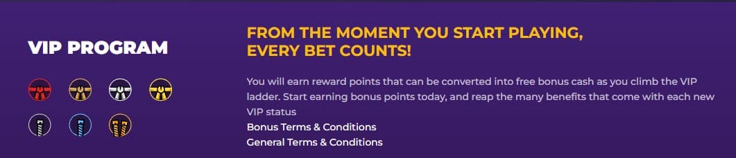 Casitsu Casino VIP Program