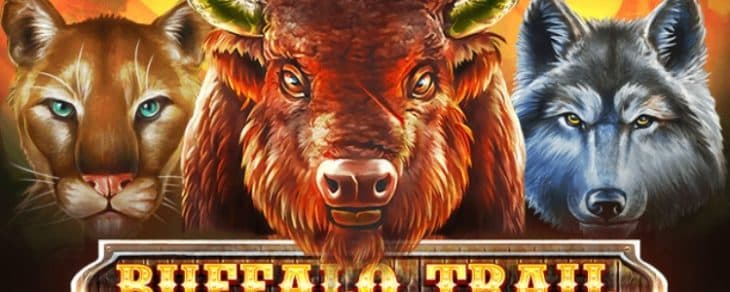 Buffalo Trail Slot