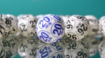 Bingo Games