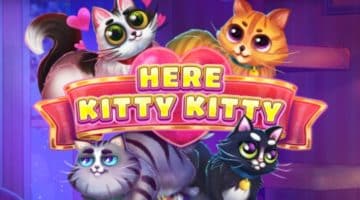 Here Kitty Kitty Slot