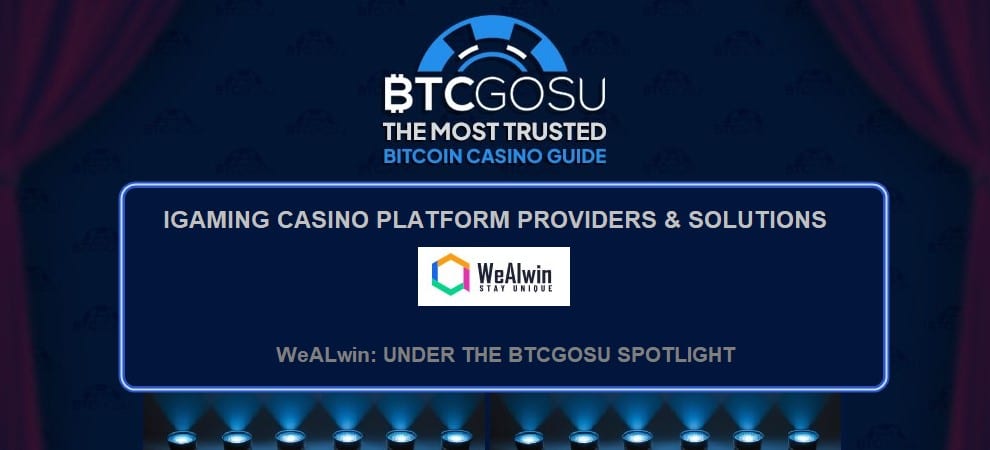 Analysis of WeALwin casino iGaming solutions provider